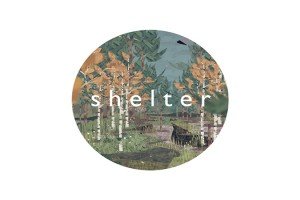 Shelter Feature Size