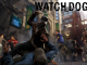 watch dogs take down