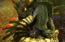 Monster-Hunter-4_2013_04-11-13_002