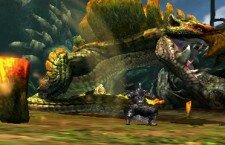 Monster-Hunter-4_2013_04-11-13_003